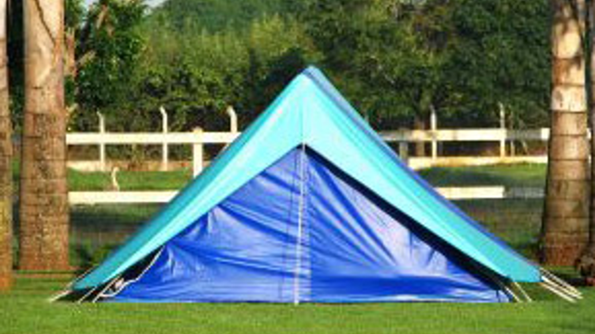 20120523_quizvakantiemetdet_01.jpg