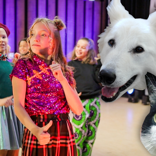 Het is Dierendag! Zing mee met onze liedjes over dieren